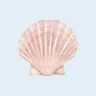 Photo de profil de natalie 🐚
