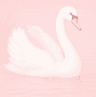 Photo de profil de Emma's Templates