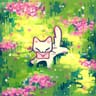 Photo de profil de Dirtmmw